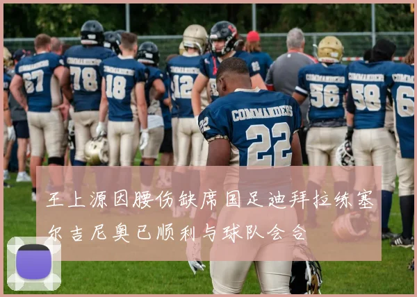 王上源因腰伤缺席国足迪拜拉练塞尔吉尼奥已顺利与球队会合